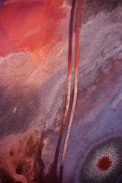 Inside the Artist's Studio with J Henry Fair, Tuesday, April 27 at 6:00pm
